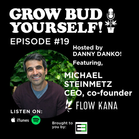 Michael Steinmetz, CEO of Flow Kana
