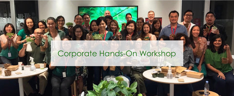 urban farming corporate workshop, singapore, microgreens, corporate bonding workshop, cooking workshop, corporate, employee bonding, employee engagement workshops