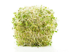 how to sprout, organic microgreen seeds, can i sprout seeds, how to grow microgreens