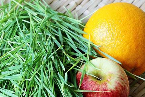 wheatgrass juice recipe, what to do with wheatgrass, how to make juice from wheatgrass, 