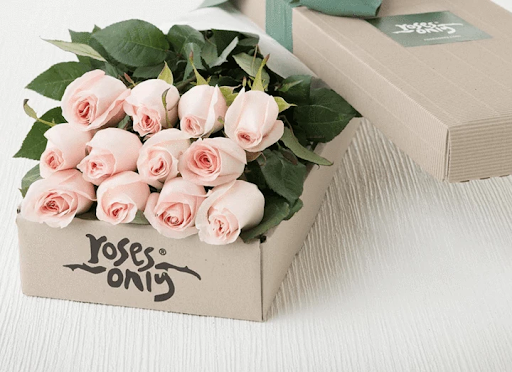 24 White Cream Roses Gift Box