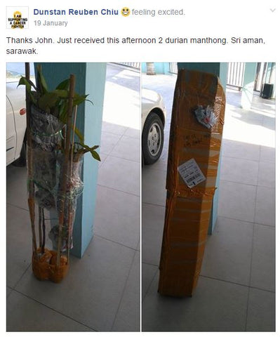 Pokok Durian Customer dah selamat sampai di rumahnya.Syukurrr