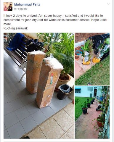 Pokok2 Customer dah selamat sampai di rumahnya.Syukurrr