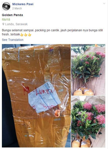 Pokok2 Customer dah selamat sampai di rumahnya.Syukurrr