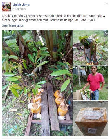Pokok Durian Customer dah selamat sampai di rumahnya.Banyak Gembira.