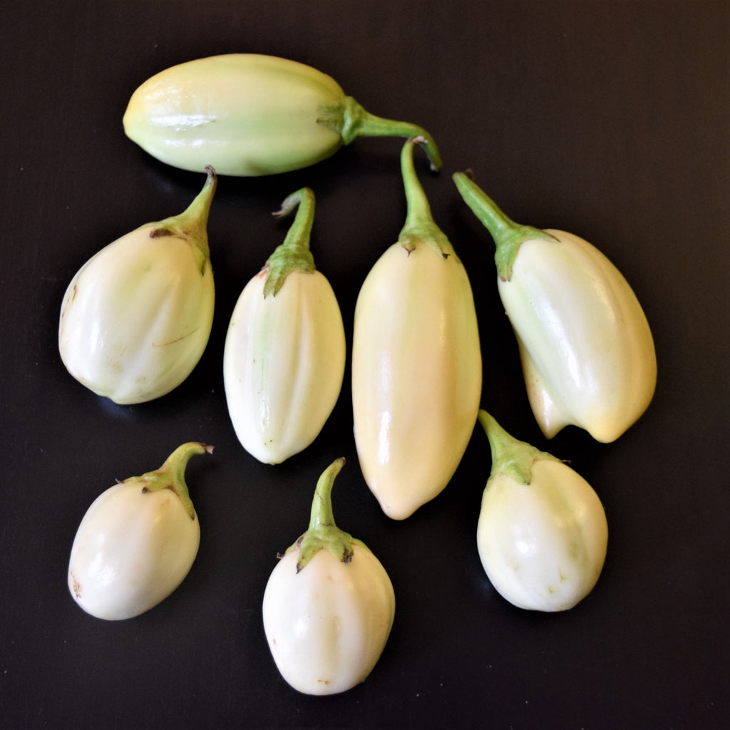 White Garden Egg (Eggplant) Truelove Seeds