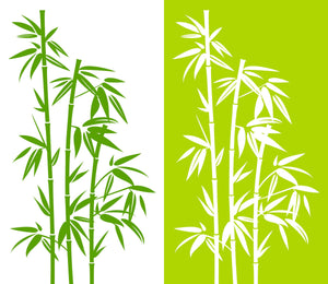 2 bamboo plants side by side