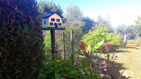 cabane pour oiseau du ciel