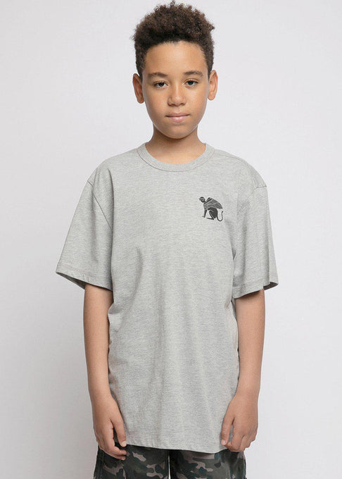 Boys Grey Sphinx Small Logo T-shirt-Sislyn stewart