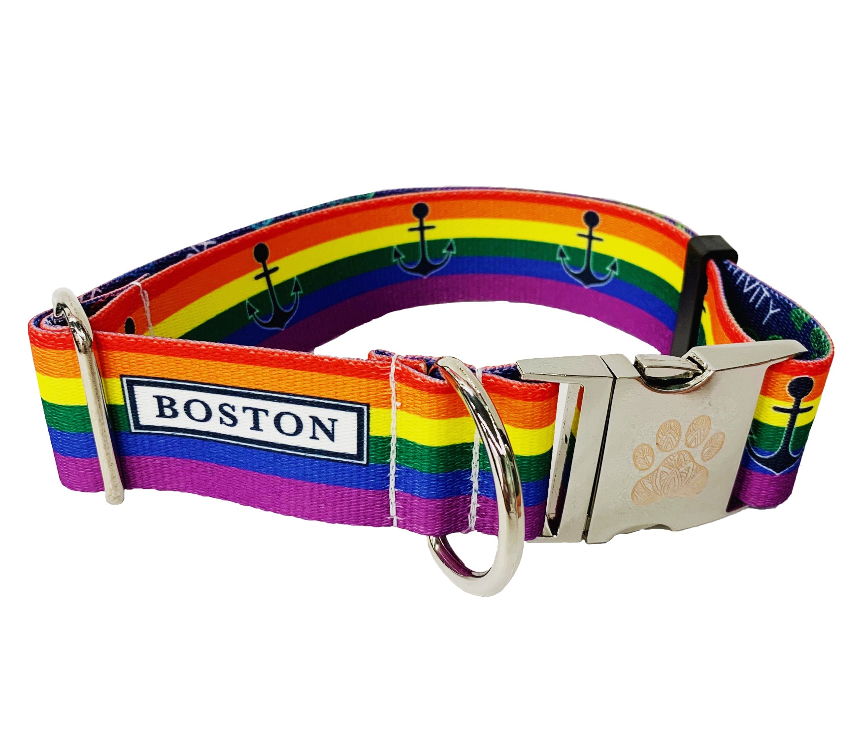 Rainbow Boston Pride 1.5