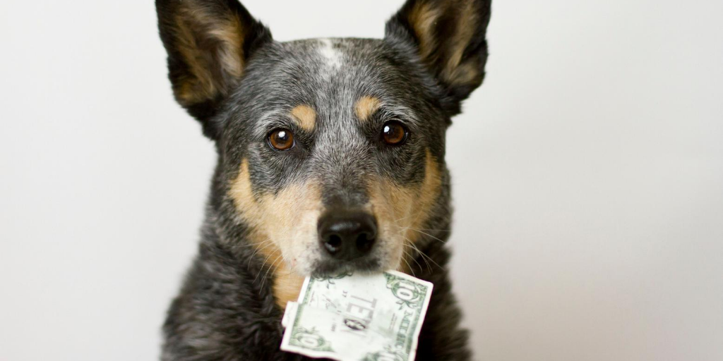 what is the cost of adopting a dog