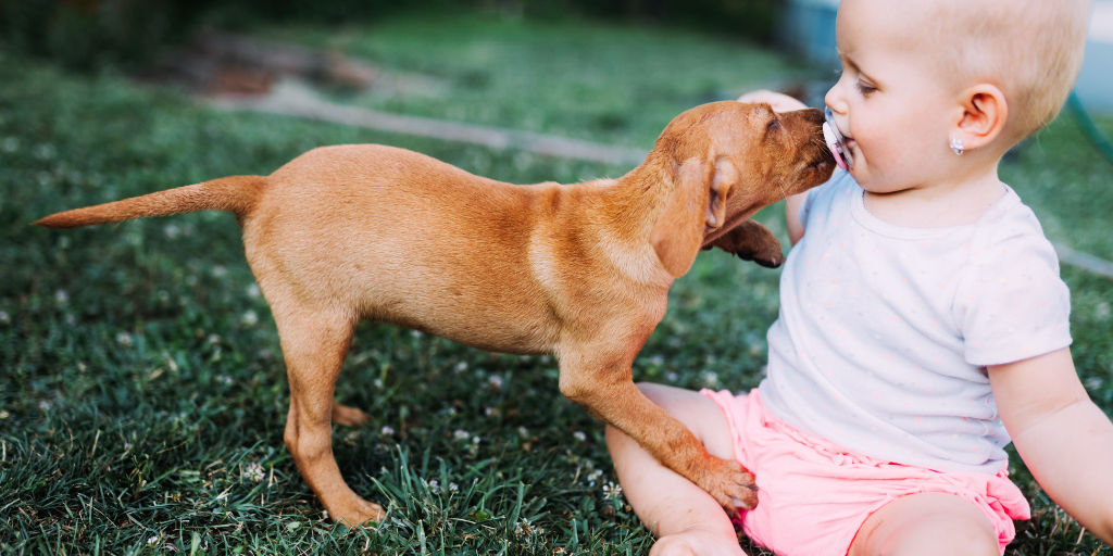 why do we talk to dogs like babies