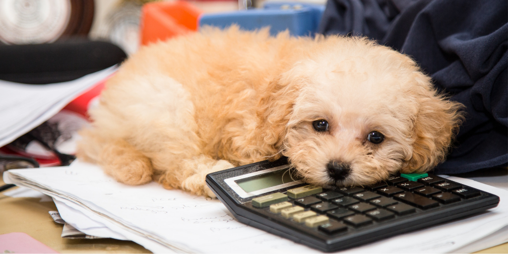 how tall will my puppy get calculator