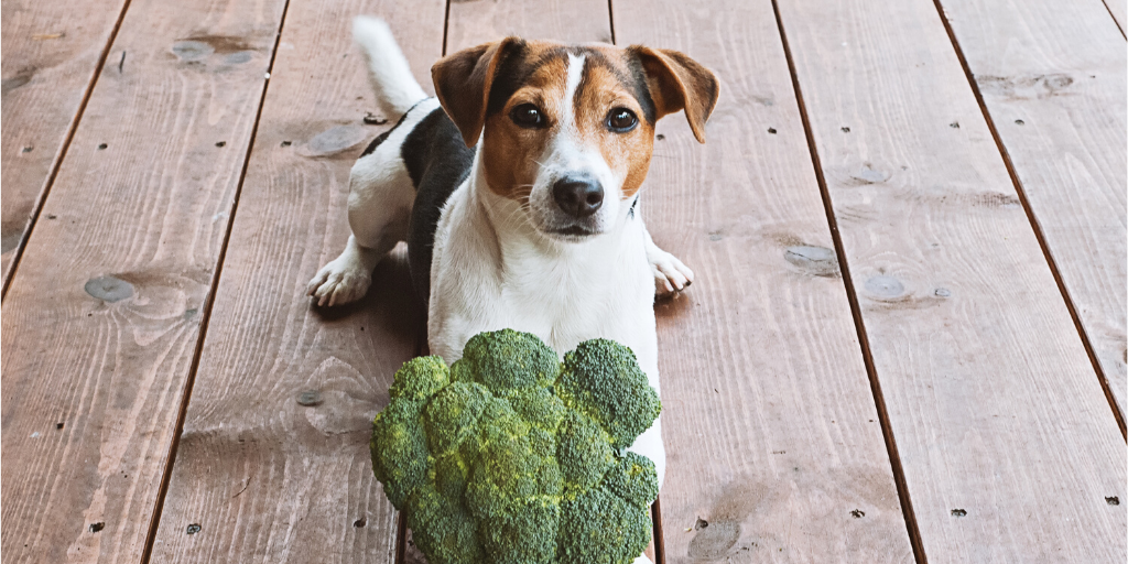 what vegetables are toxic to dogs