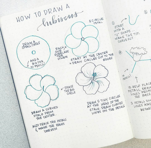 How to Draw a Hibiscus in Your Bullet Journal- Get your bullet journal ready for summer with these gorgeous summer bujo ideas! You have to see these inspiring summery trackers, layouts, covers, and more! | #bulletJournal #bujo #bujoIdeas #bujoInspiration #DigitalDownloadShop