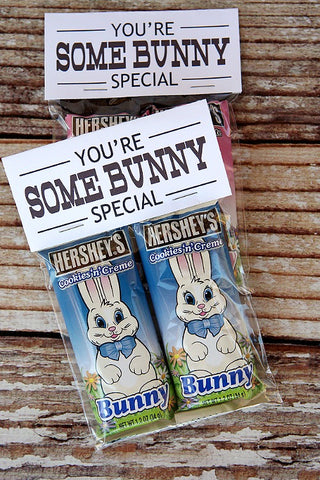 Somebunny Special Easter Treat Bag Toppers Free Printable- Make your Easter favors and candy gifts look egg-stra cute this year with some of these adorable free printable Easter treat bag toppers! | Easter party favors, Easter printable, #freePrintables #printable #Easter #treatBags #DigitalDownloadShop