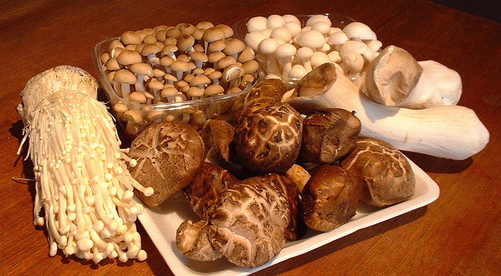 How do we access the most benefits from medicinal mushrooms ?