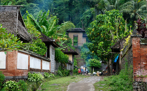 Pulang ke Kampung. Foto: Google