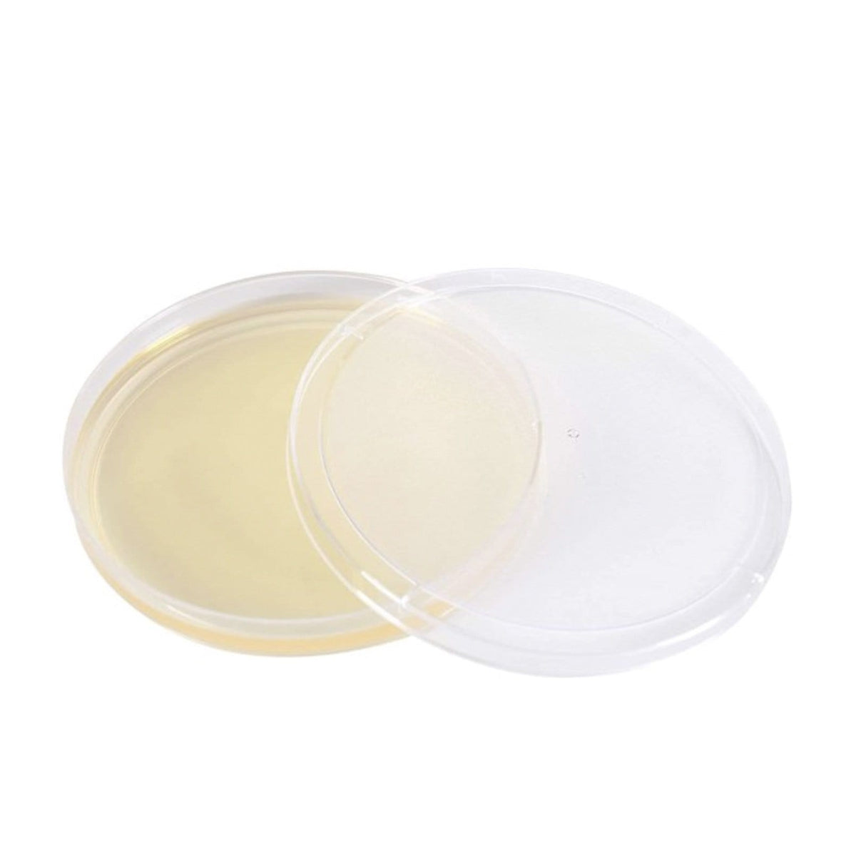 20x Empty Lab Sterile Petri Boxes Mushroom Culture Sterile petri dish