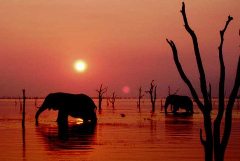 Kariba Sunset