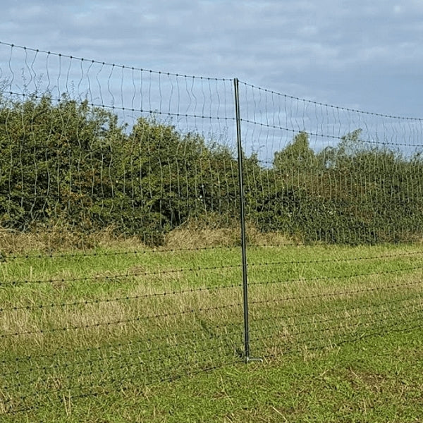 Tall Chicken Netting