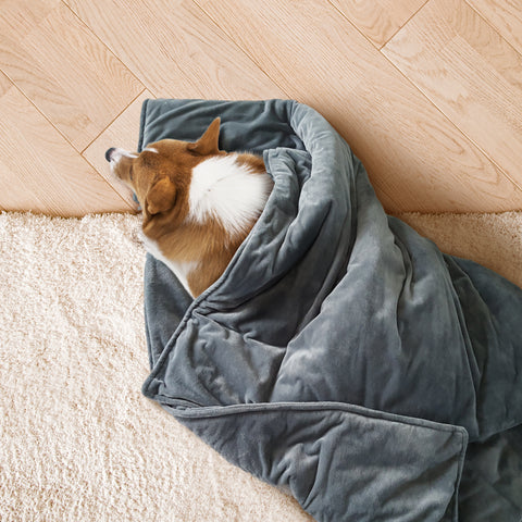 weighted dog blanket