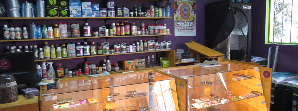 Tienda_seedcodelia