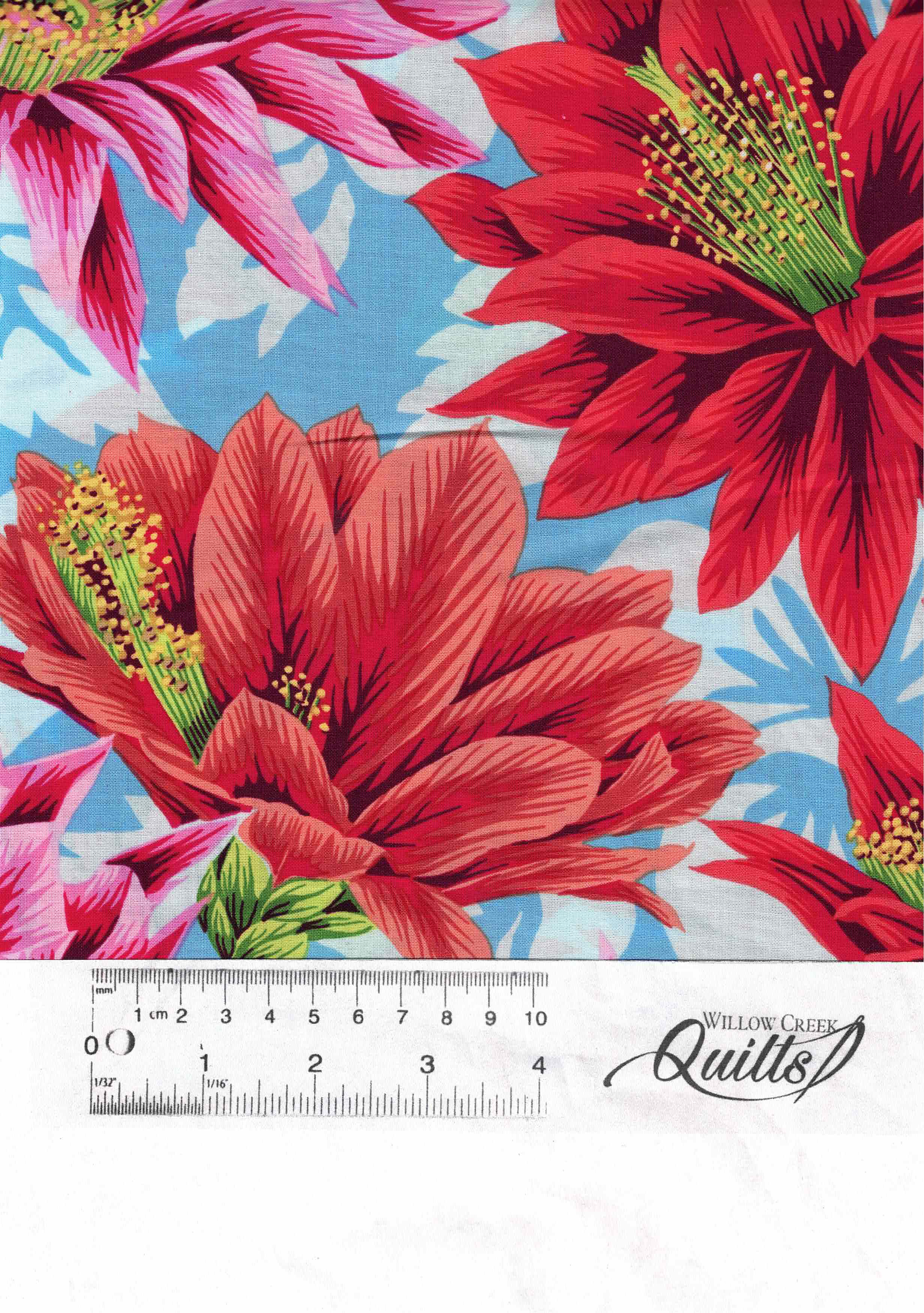 Cactus Flower - Multi - PWPJ096 - Spring 2019
