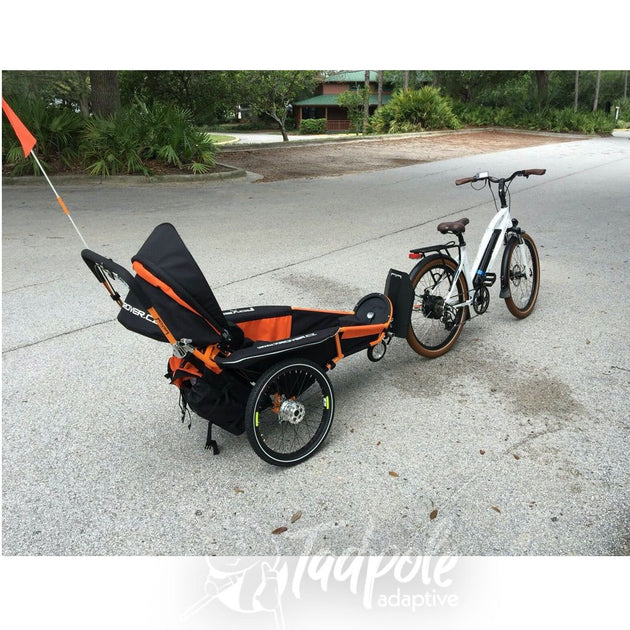 bike trailer and jogging stroller