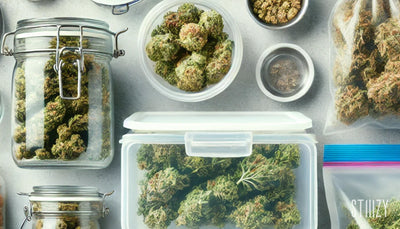 Does Weed Go Bad? An Expert Guide on Weed Preservation