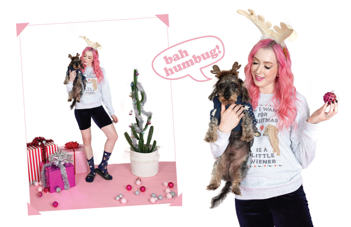 dachshund christmas shirts for christmas photoshoot