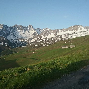 View from the dairy - waiting for the cows