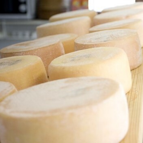 Cheese from Alp Maran