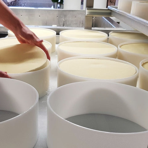 Cheese making on Alp maran