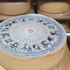 Cheese from Alp Maran