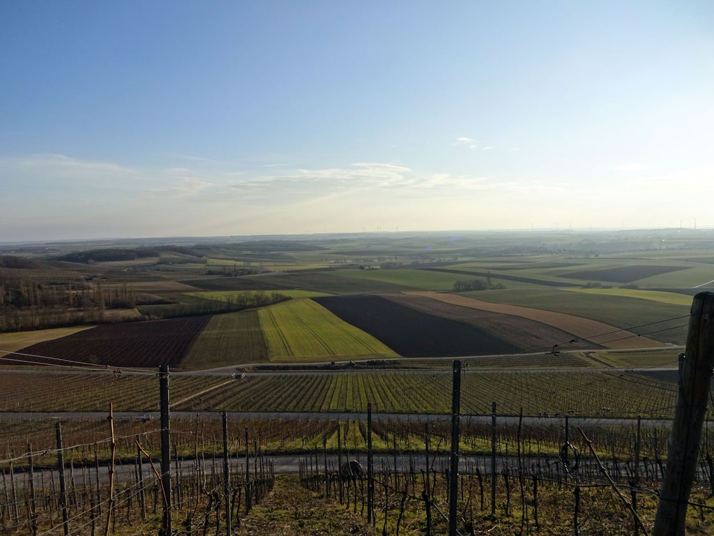 Bullenheimer Paradies Franken