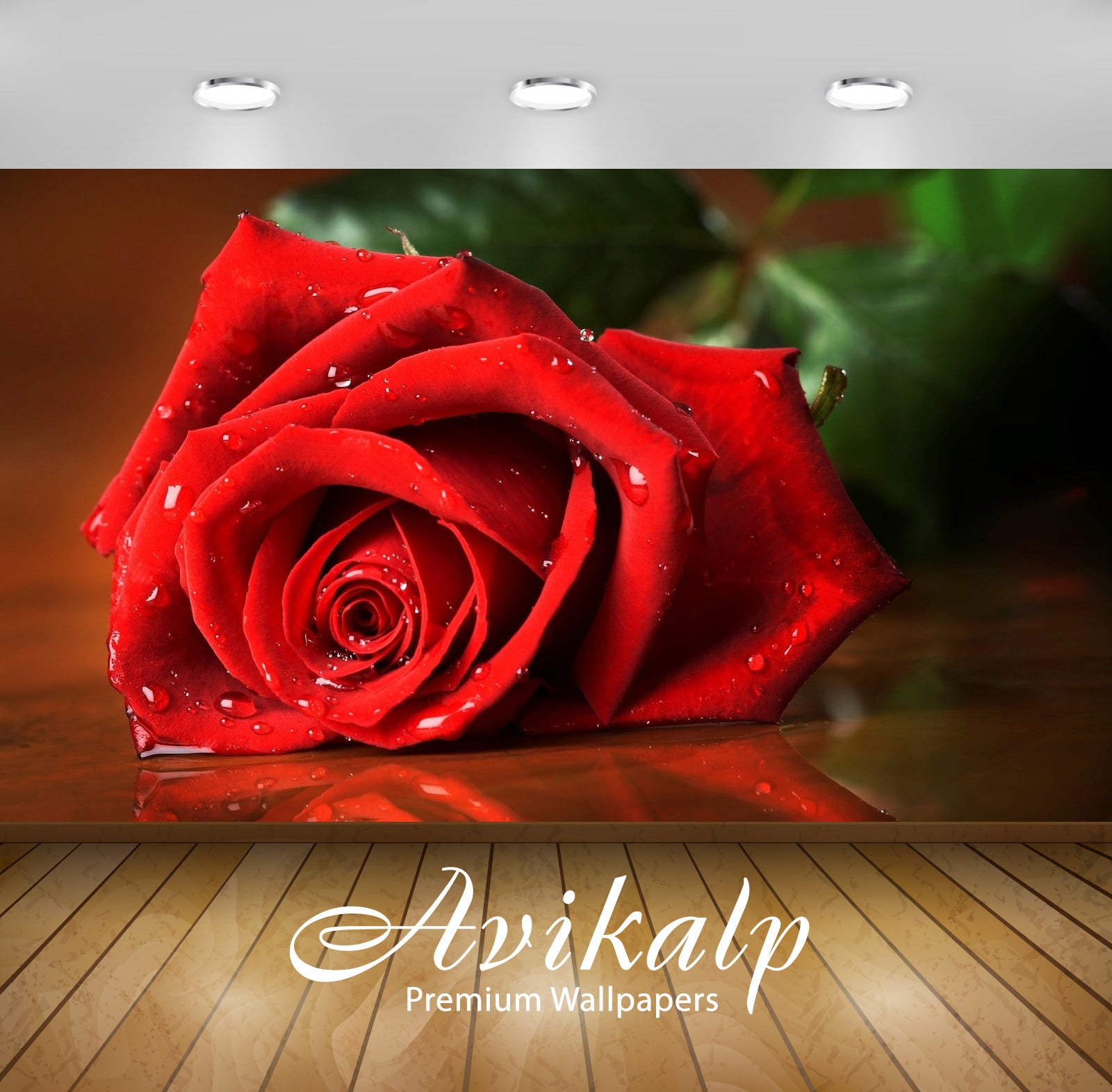 Avikalp Exclusive Awi1926 Rose Flower Beauty Full HD Wallpapers for Li –  Avikalp International - 3D Wallpapers