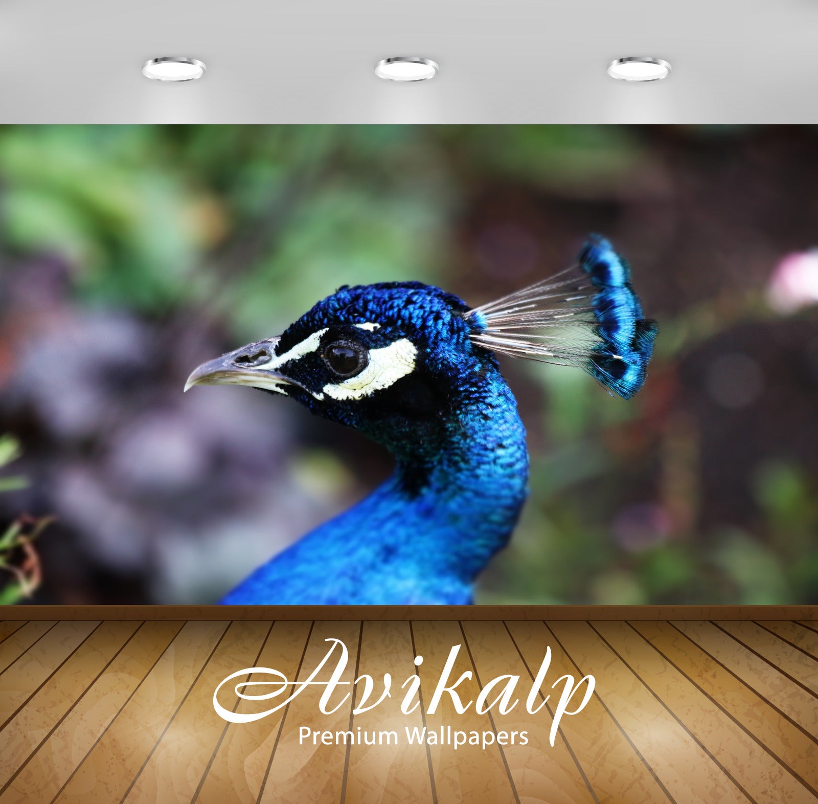 Avikalp Exclusive Premium peacock HD Wallpapers for Living room, Hall, –  Avikalp International - 3D Wallpapers