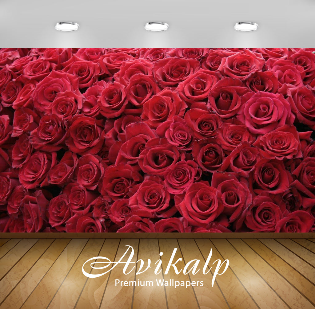 Avikalp Exclusive Awi3268 Red Roses Flowers Full Hd Wallpapers For Living Room Hall Kids Room Kit