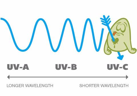 UV-C kills bacteria 