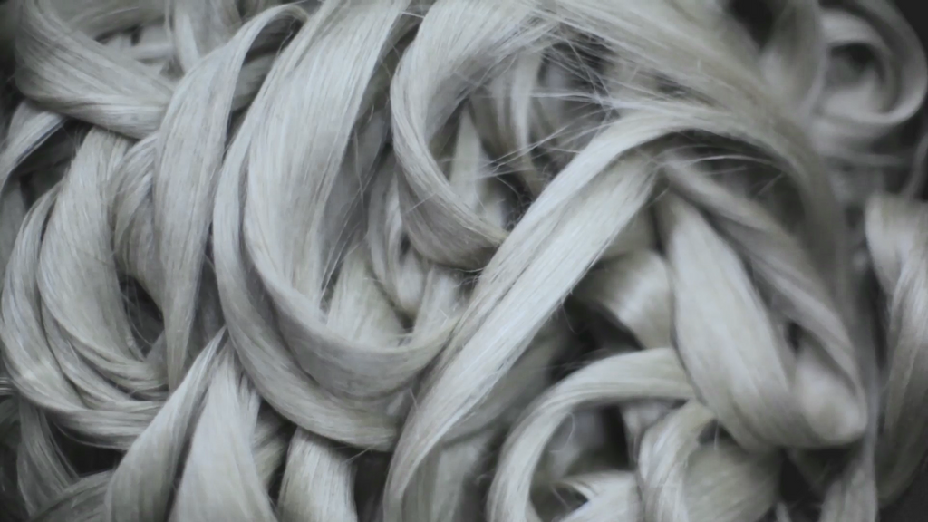 Linen fibers after combing