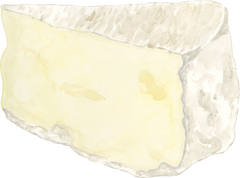 Camembert Cheese