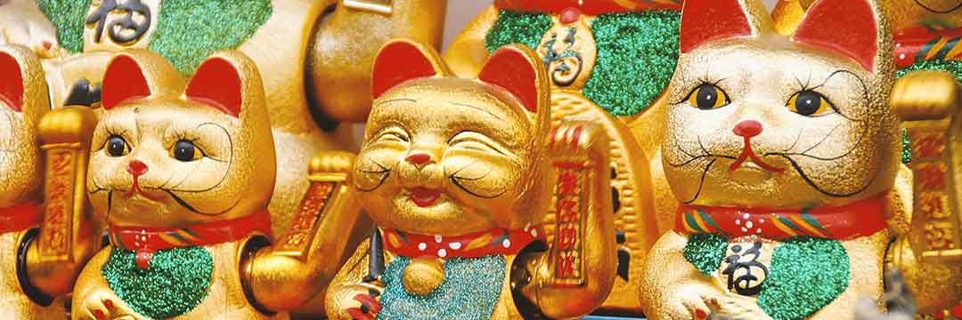 Lucky Cat and the Zenism Terms and Conditions