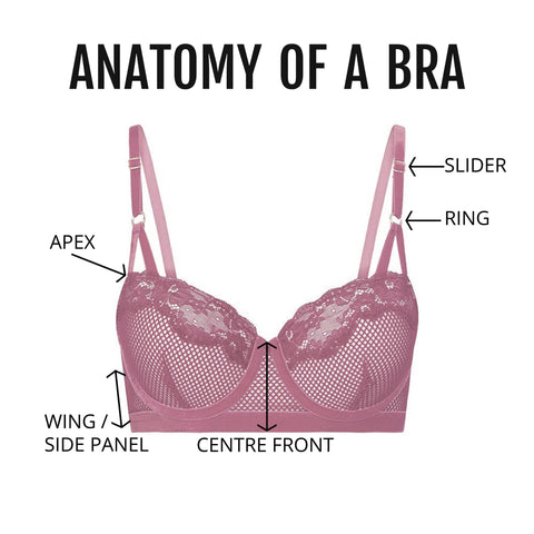 Genevieve's Wardobe- bra anatomy