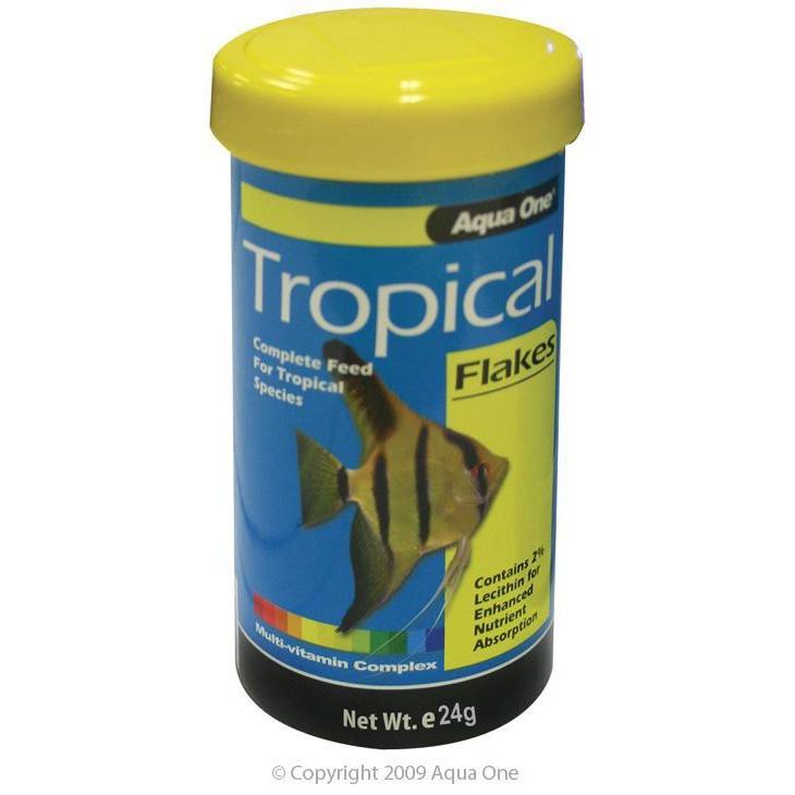 api flakes tropical fish food