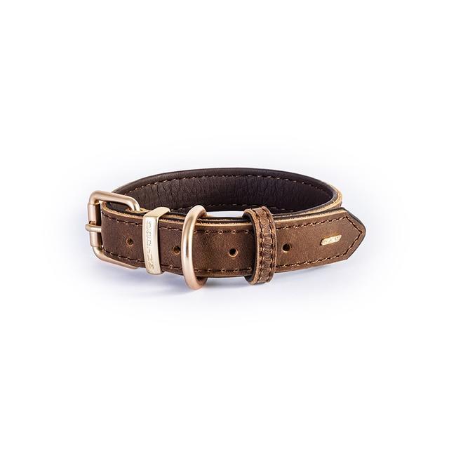 leather dog collar medium