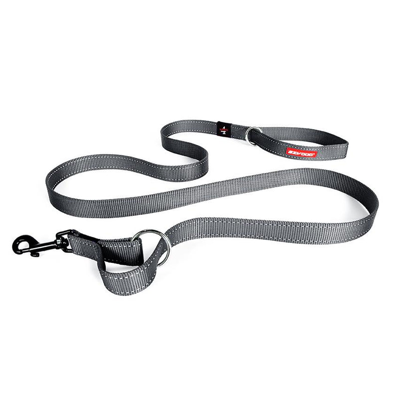 doberman leash and collar