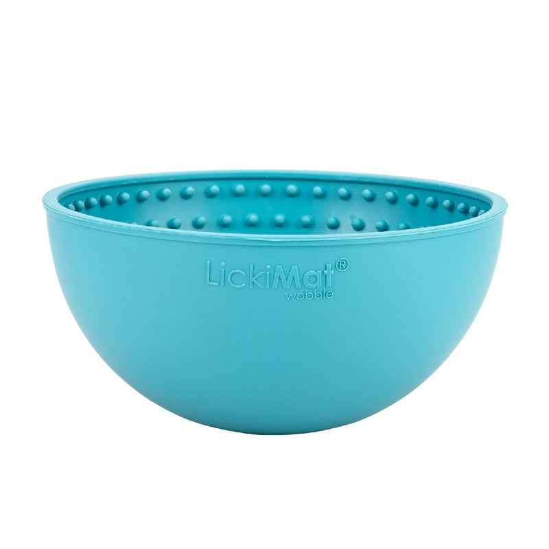 turquoise dog bowl