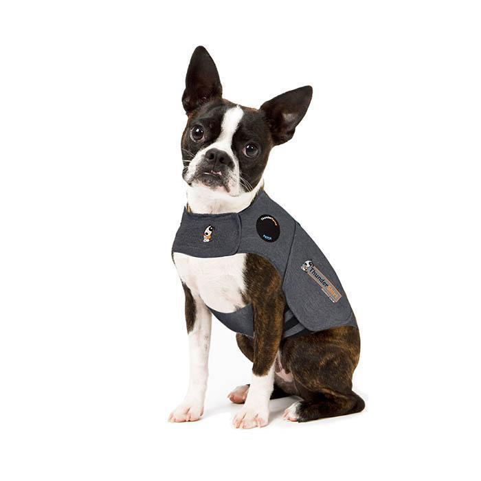 thunder coats for small dogs