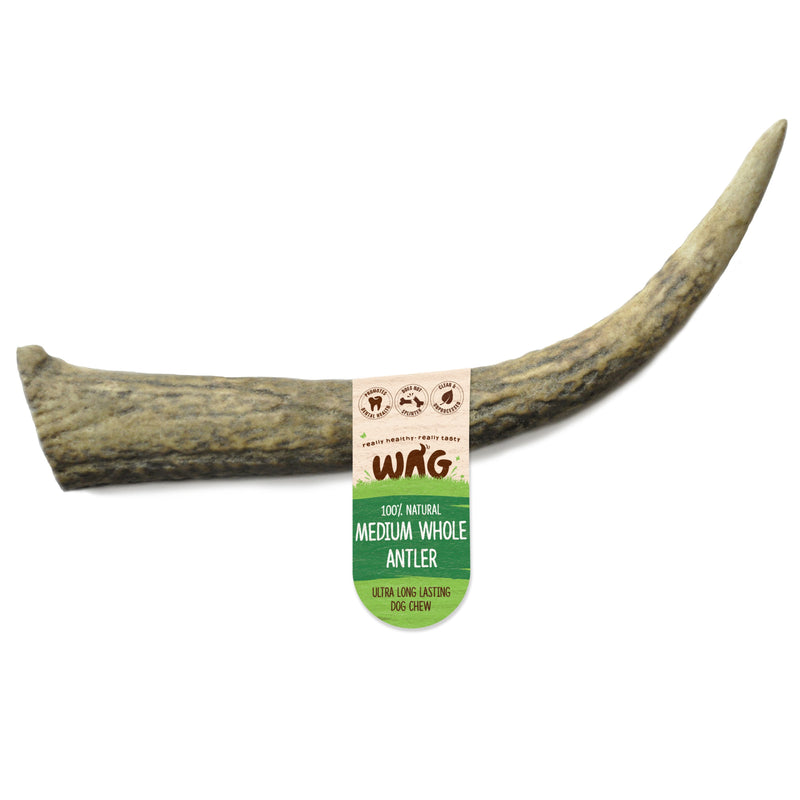 are deer antlers for dogs treated